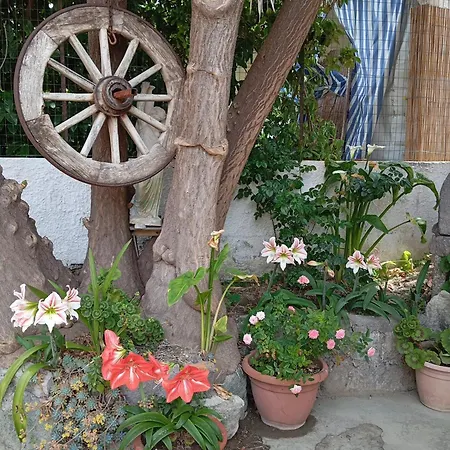 Casina Calise
